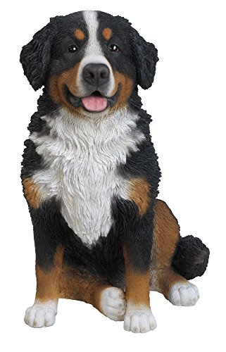 Hi-Line Gift Ltd Bernese Mountain Dog Statue von Hi-Line Gift Ltd