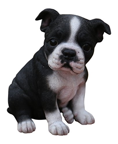 Hi-Line Gift Ltd Sitzender Boston Terrier Welpen-Statue von Hi-Line Gift Ltd