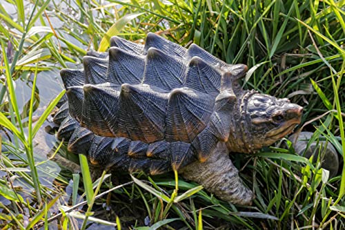 Hi-Line Gift Ltd. Schildkröten-Statue. von Hi-Line Gift Ltd