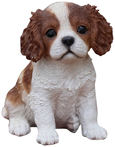 hi-line Geschenk LTD, King Charles Welpe sitzend von Hi-Line Gift Ltd