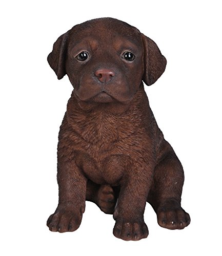 hi-line Geschenk LTD Labrador Puppy Statue, Schokolade Braun von Hi-Line Gift Ltd