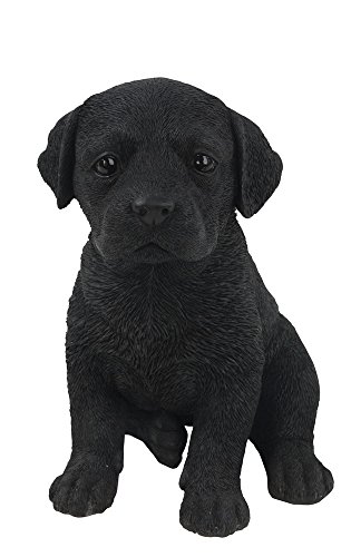 hi-line Geschenk LTD Labrador Welpe Statue, schwarz von Hi-Line Gift Ltd