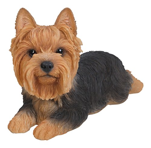 hi-line Geschenk LTD Yorkshire Terrier Hund liegend Statue von Hi-Line Gift Ltd