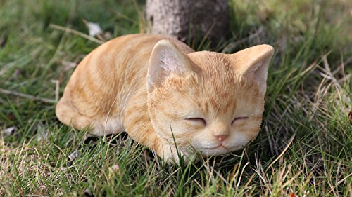 Hi- Line Gift 87699-A Katze schlafend orange getigerte Katze von RUNADI