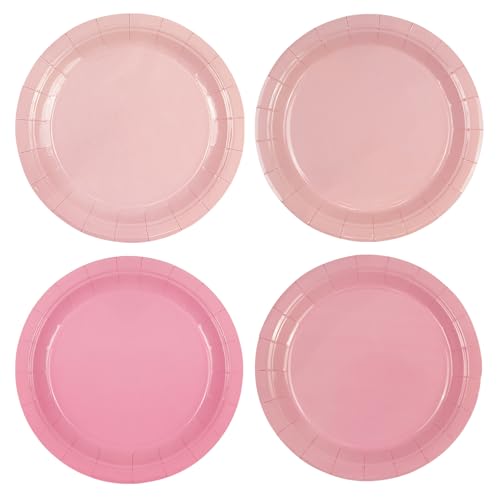 HiEnjoin 48 Stück Rosa Pappteller Gradient Rosa Partyteller 23cm Einweg-Dessertteller für Geburtstage, Hochzeiten, Babypartys, Partys und andere Anlässe, 4 Farben von HiEnjoin