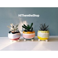 The Rainbow Candy Collection 2 - Handgemachter Keramik Übertopf, Sukkulenten Topf, Kaktus Home Studio Keramik, Wohndekor, Pinch Pot von HiTheretheShop