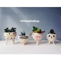 The Very Fun Collection - Keramik, Handgemacht, Sukkulententopf, Übertopf, Kaktustopf, Pflanzentopf. Regenbogen Tropfen. Wolke. Flamingo. Panda von HiTheretheShop