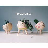 The Wonky Pot Collection - Handgemachter Sukkulententopf Aus Keramik, Kaktustopf, Pflanzentopf, Wohndekor, Gartendekor. Draussen Übertopf von HiTheretheShop