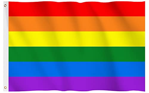 Hianjoo 90X150cm Regenbogen Flagge mit 2 Messingösen, LGBT Flagge Pride Flag, Lesbian Flag, Gay Pride Flagge [Lebendige Farbe] [UV-Lichtbeständig] [Leinwand Kopf] von Hianjoo