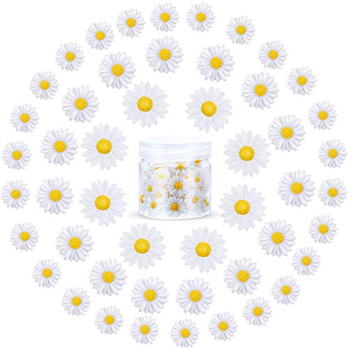 50 Stücke Mini Harz Daisy Gänse Blümchen Blume Mini Dekorierte Gänseblümchen Gänseblümchen Blume Harz Charms mit Aufbewahrungsbox für DIY Handwerk Party Haus Dekoration, 3 Größen von HICARER