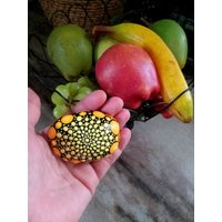 Zitronen-Fruchtmuster Gemalter Rock Briefbeschwerer, Gelb Und Schwarz Wohnkultur Für Die Sommersaison, Dot Artwork Stone Einzigartige Geschenke Obst von HickoryDickoryDots