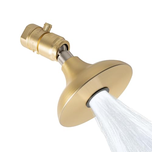 High Sierra Showerheads Half Dome Regendusche aus massivem Metall, 1,25 GPM, ultra-niedriger Durchfluss, Duschkopf mit Erhaltungsventil, patentierte Düse, verstopft nicht – gebürstetes Gold-Finish High Sierra Showerheads Half Dome Regendusche aus massivem Metall, 1,25 GPM, ultra-niedriger Durchfluss, Duschkopf mit Erhaltungsventil, patentierte Düse, verstopft nicht – gebürstetes Gold-Finish von High Sierra Showerheads
