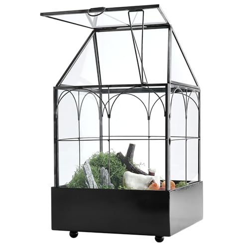 HighFree Glasterrarium mit Metallschale, Gewächshaus-Set für Sukkulenten, Kakteen, Schnecken, Spinnen und Miniaturreptilien, Schwarz, 15 x 15 x 26 cm von HighFree