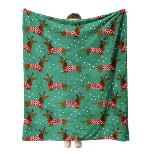 Highdi 3D Flanell Kuscheldecke Flauschig Warm, Herbst Winter Warme Wohndecke Kinder Decke Flauschige Couchdecke Überwurf Fleecedecke (204 * 153CM,Dackel) von Highdi