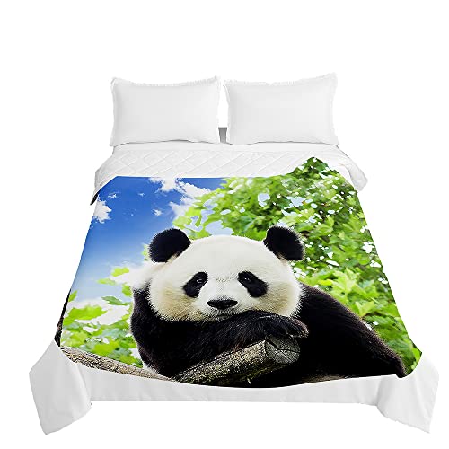 Highdi 3D Panda Sommer Bettdecke, Atmungsaktive Leicht Dünn Sommerdecke, Weich und Hautfreundlich Bettdecke, Mikrofaser Tagesdecke für Sofaüberwurf, Einzel Doppel (lächelnder Panda,200x230cm) von Highdi