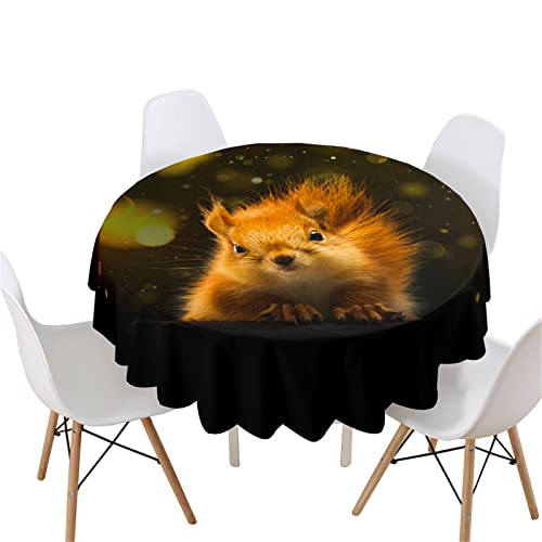 Highdi 3D Tischdecke Rund Lotuseffekt, Eichhörnchen Druck Wasserdicht Antifouling Pflegeleicht Abwaschbar Polyester Tischdecke für Home Küche Dekoration (120cm,Strahlendes Licht) von Highdi