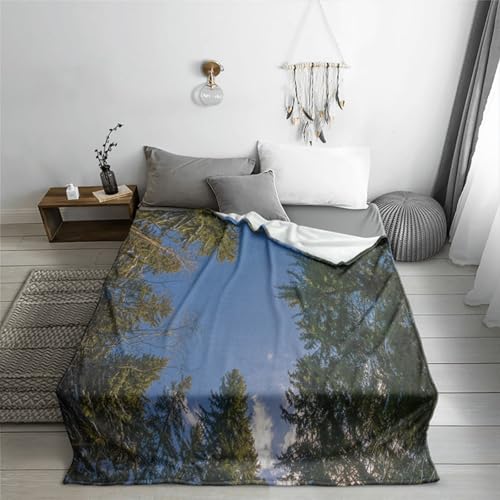Highdi Kuscheldecke Flauschig, 3D-Druck Flauschige Decke Sommer Winterdecke Warme Couchdecke Überwurf als Tagesdecke Sofadecke Bett oder Sofaüberwurf Blanket (150 * 130cm,Walddrucke 22) von Highdi