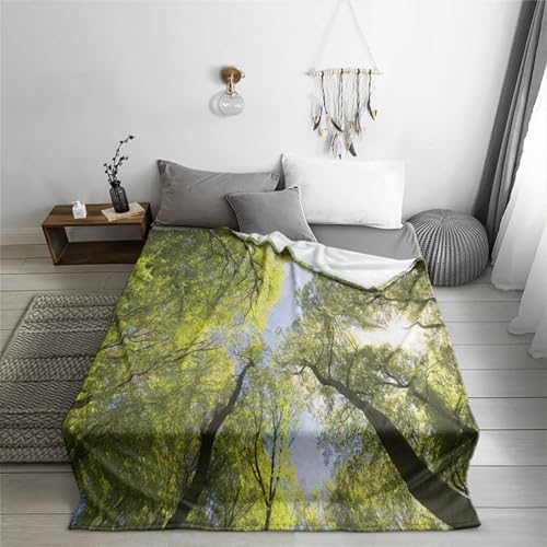 Highdi Kuscheldecke Flauschig, 3D-Druck Flauschige Decke Sommer Winterdecke Warme Couchdecke Überwurf als Tagesdecke Sofadecke Bett oder Sofaüberwurf Blanket (150 * 200cm,Walddrucke 18) von Highdi