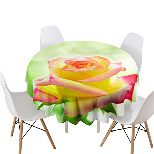 Highdi Rund Tischdecke Abwaschbar, 3D Rosen Druck Wasserdicht Lotuseffekt Antifouling Rund Tischdecken Polyester Tischtuch für Home Küche Dekoration Garten (Durchmesser 120cm,Sonnenlicht Rose) von Highdi