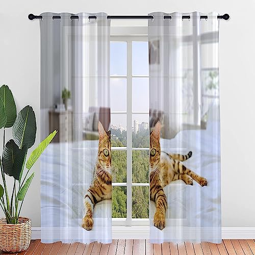 Highdi Voile Vorhänge mit Ösen 2er Set Katzenmuster, Transparente Gardinen für Wohnzimmer Ösenschal Halbtransparent Ösenvorhang für Moderne Schlafzimmer (W140 x H160 cm,Leopardenkatze) von Highdi