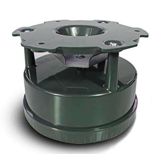 Highwild Hirsch-Futterstation Kit – Digitaler Timer – Metalldrehplatte – einfache Einrichtung – All-in-One von Highwild