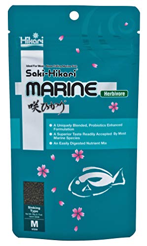 Hikari 042221 Marine Herbivore Medium sinkende Pellets Meeresfischfutter, One Size Hikari 042221 Marine Herbivore Medium sinkende Pellets Meeresfischfutter, One Size von Hikari