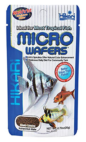 Hikari 48698/2160 Food Tropical Micro Wafers Slow Sinking Wafer High Protein Formula 0.07oz von Hikari