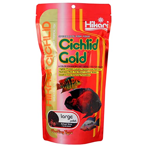 Hikari AHK04411 Buntbarsch Gold 57 g – Große Pellet von Hikari