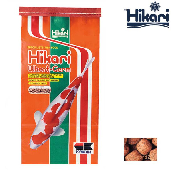 Hikari Koifutter Wheat Germ large 10 kg Hikari Koifutter Wheat Germ large 10 kg von Hikari