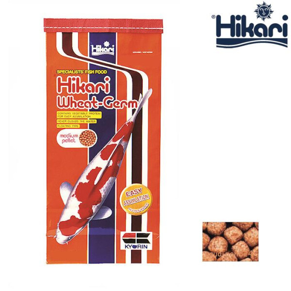 Hikari Koifutter Wheat Germ medium 2kg von Hikari