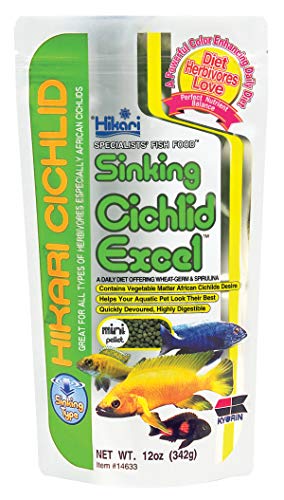 Hikari ML ZWERGBUNTBARSCH Excel sinkend Pellets für Haustiere, Mini, 12 Ounce (Pack of 1) von Hikari