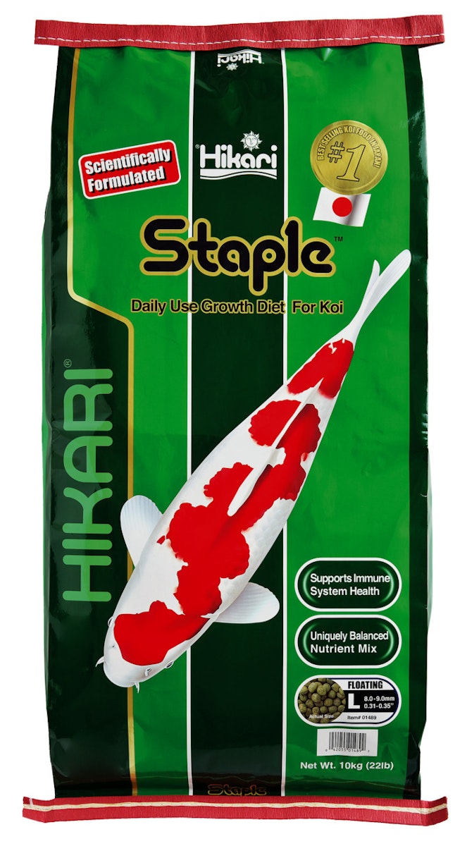 Hikari Staple Large Koifutter 10 Kilogramm von Hikari