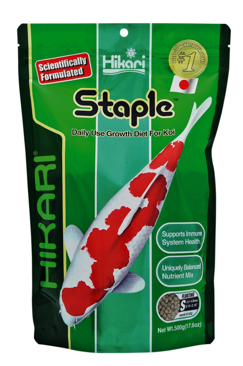 Hikari Staple Mini Koifutter 500 Gramm Hikari Staple Mini Koifutter 500 Gramm von Hikari
