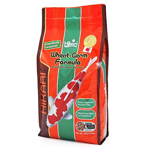 Hikari Wheat Germ Large Pellets 2 kg Koifutter von Hikari