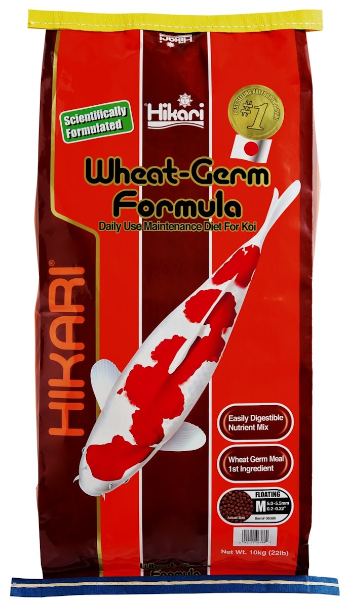 Hikari Wheat-Germ Medium Koifutter 10 Kilogramm Hikari Wheat-Germ Medium Koifutter 10 Kilogramm von Hikari