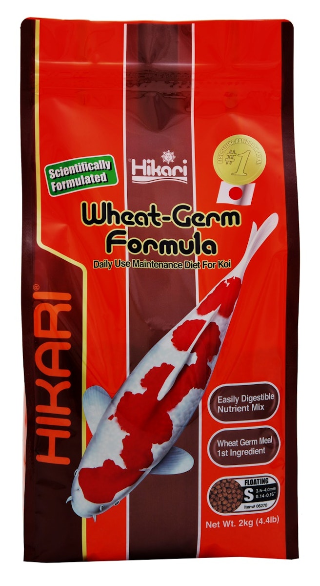 Hikari Wheat-Germ Mini Koifutter 2 Kilogramm Hikari Wheat-Germ Mini Koifutter 2 Kilogramm von Hikari