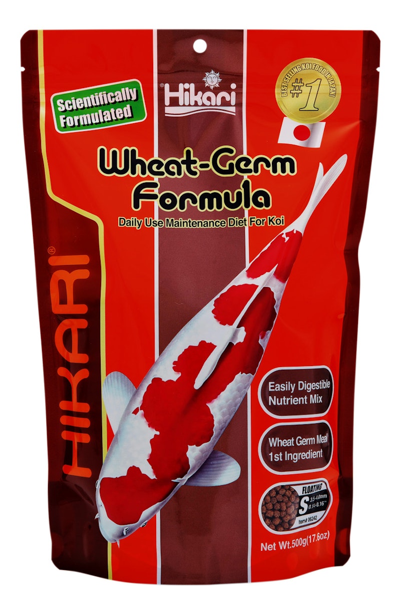 Hikari Wheat-Germ Mini Koifutter 500 Gramm von Hikari