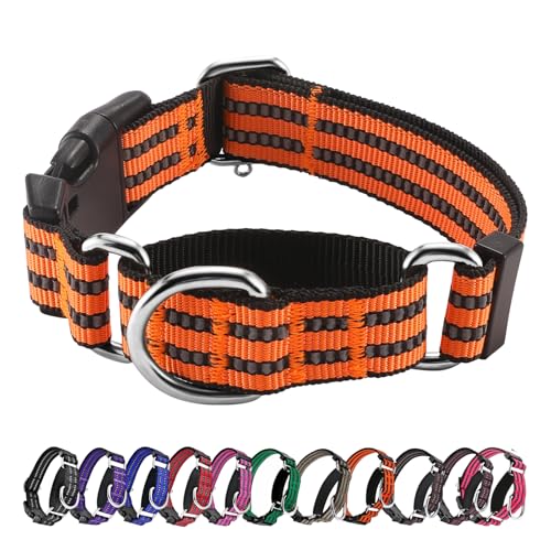 Hikiko Martingale Hundehalsband, reflektierend, Nylon, mit Schnellverschluss-Schnalle, verstellbar, Training, rutschfest, Größe L, Orange von Hikiko