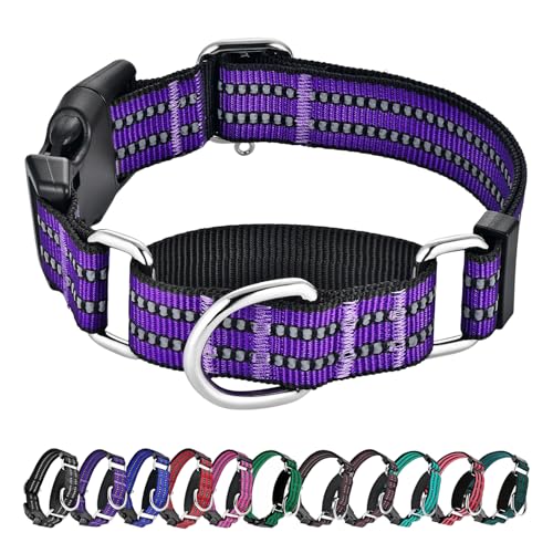 Hikiko Martingale Hundehalsband, reflektierend, Nylon, mit Schnellverschluss-Schnalle, verstellbar, Training, rutschfest, Größe M, Violett von Hikiko