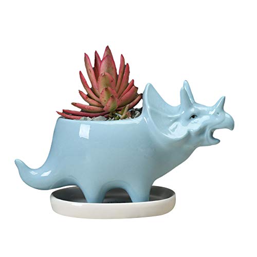 Blumenübertopf, Indoor Töpfe für Pflanzen, Sukkulente Töpfe Dinosaurier Pflanzer Halter mit Tray Nettes Keramik Triceratops Tieres Blauen Blume Kaktus von Hilai