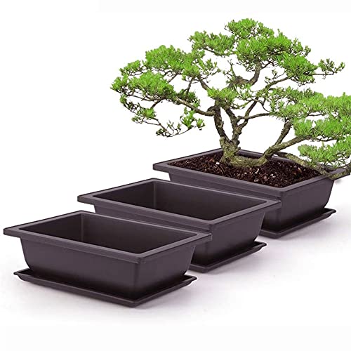 Bonsai-Trainingstöpfe und -tabletts, Pflanztöpfe aus Kunststoff, quadratisch, mit quadratischen Tabletts für Blumen, Sukkulenten, 5 Stück von Hilai