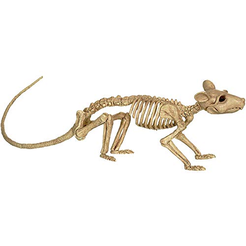Hilai Dekoration Ratten-Skelett,Halloween Ratte Skelett Kunststoff-Tier-Skelett-Knochen Simulative Skeleton Dekoration für Horror Halloween Dekoration 30x6.5x9CM von Hilai