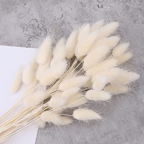 50 Stück 45cm Getrocknete Pampasgras Deko Pampasgras Getrocknet Lagurus Trockenblumen Strauß Dried Flowers, Blumendekoration, für Blumen Arrangements Heim Decor (50Pcs White) von Hileyu
