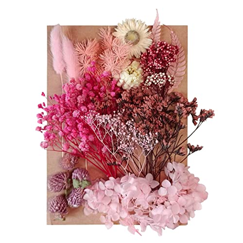 Getrocknete Blumen Blätter Gepresste getrocknete Blumen Gemischt Mehrere Natürliche Dekorative Künstliche Blumen Getrocknete Blumen für Kunsthandwerk Harz Kuchen DIY Schmuck Nail Art Scrapbooks von Hileyu