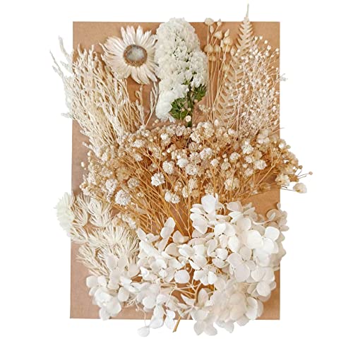 Getrocknete Blumen Blätter Gepresste getrocknete Blumen Gemischt Mehrere Natürliche Dekorative Künstliche Blumen Getrocknete Blumen für Kunsthandwerk Harz Kuchen DIY Schmuck Nail Art Scrapbooks von Hileyu