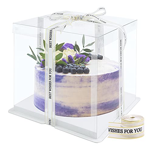 Hileyu Transparente Tortenschachtel Dessert Box Cake Box Transparent mit Deckel Doppelschicht-Tortenschachtel Kunststoff-Präsentationsboxen mit Sockel und Band Transparente Würfelschachteln 10 Inch von Hileyu