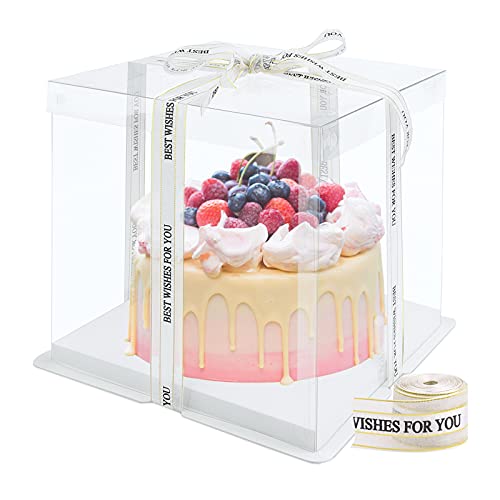 Hileyu Transparente Tortenschachtel Dessert Box Cake Box Transparent mit Deckel Doppelschicht-Tortenschachtel Kunststoff-Präsentationsboxen mit Sockel und Band Transparente Würfelschachteln 6 Inch von Hileyu