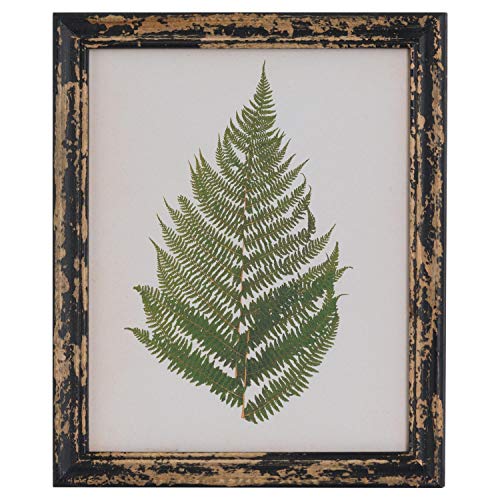 Hill 1975 Rustikales Gerahmte Botanische Fern Bild von Hill Interiors