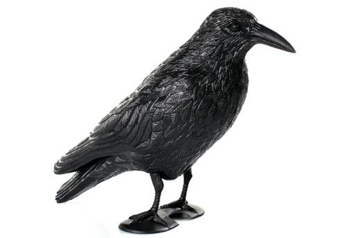 Hillfield 12 Stück Rabe/Krähe/Taubenschreck/Vogelschreck 38 cm schwarz 1-12 Stück Exclusiv hergestellt (12) von Hillfield