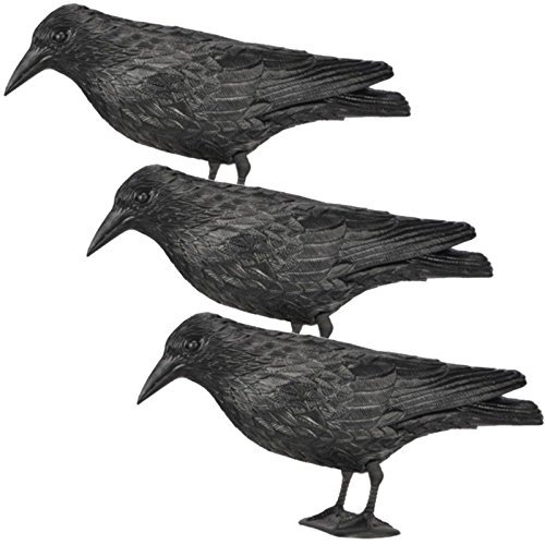 Hillfield Rabe Krähe Taubenschreck Vogelschreck Taube Vogel Schreck Pflanzenschutz 36cm - 3 Stück von Hillfield